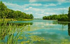 Fish Sanctuary, Sand Lake  New Westport Ontario-Canada-VTG Postcard M10 picture