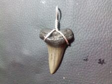 Gorgeous 1.66Mako Sharks Tooth Pendant With Sterling Silver Hand Wrap picture