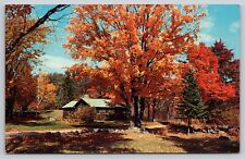 Postcard New England Autumn Scene Cabin House UNP A5 picture
