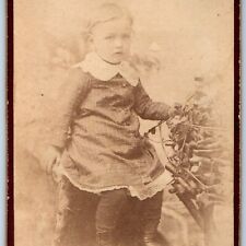 c1870s Cute Little Boy or Girl Dress CdV Photo Card Wood Branch Prop Antique H27 picture