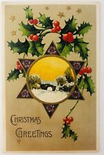 Vintage Embossed Postcard Christmas Greetings Star Winter Scene Holly 1910 picture