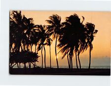 Postcard Colorful Tropical Sunrise Graceful Coconut Palm Trees Florida Seacoast picture