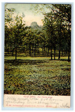 1906 Mount Simon Eau Claire, Wisconsin WI Posted Anique Postcard picture