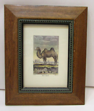 The Camel De Sere Warner Vintage Print Under Glass Wood Framed 8.75