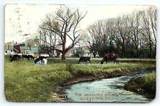 c1908 ALLENTOWN PA THE MEADOWS SOUTH COWS GRAZING BARNS STREAM POSTCARD P4088 picture