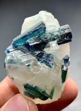 156 Carat Indicolite Tourmaline Crystal With Quartz From Afghanistan picture