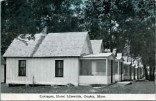 ANTIQUE RPPC POSTCARD  OSAKIS MN  COTTAGES HOTEL IDLEWILDE picture