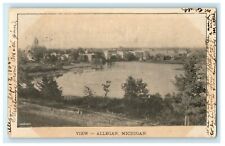 1905 Bird's Eye View of Allegan Michigan MI Posted Antique Postcard picture