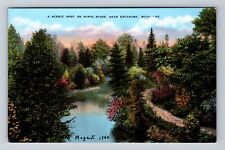 Escanaba MI-Michigan, A Scenic Spot On Rapid River, Antique, Vintage Postcard picture