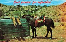 Postcard Just Pausin' fer Refreshin' Arizona AZ Vintage picture