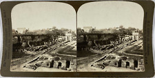 White, Stereo, Italy, Rome, Palatine Hill from the Colosseum Vintage Stereo Card picture