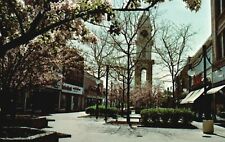 Dubuque, Iowa, IA, Town Clock Plaza, Hawthorne Trees, Vintage Postcard b487 picture