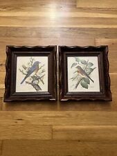 Vintage Wood/Scallop Framed Bird Ornithology Prints  Ph. Gommer Bluebird/Female picture