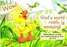 Wow God's World Really Is Amazing - Duck Postcard picture