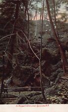 Syracuse New York NY Vtg Postcard UDB 1900s Man Bridge Hopper's Glen Hiking J8 picture