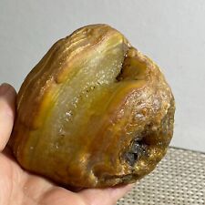 Bonsai Suiseki-Natural Gobi Agate Eyes Stone-Rare Stunning Viewing 624g h2512 picture