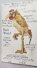 1908 Conkey's Poultry Stock Remedy Postcard Rooster John House Rooster Dealer picture
