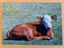 Postcard IA: Fauna/ Cow. Iowa picture