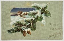 Vintage Tuck's Postcard, A Bright and Happy New Year, Pinecones, Embossed picture