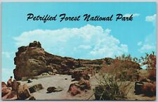 Vintage Petrified Forest National Park Arizona Old Faithful Tree Postcard picture