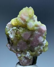 Bi Color Tourmaline  crystalBunch from Afghanistan 143 CT picture