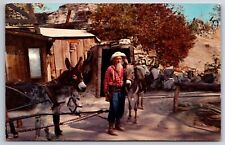 Knotts Berry Farm CA~Old Prospector @ Gold Mine In Ghost Town~Vtg Postcard picture