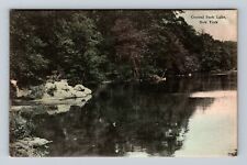 New York City NY-Central Park Lake, Antique, Vintage Postcard picture