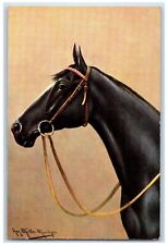 c1930's Horse Lead Ropes Muller Munchen Animal Unposted Vintage Postcard picture