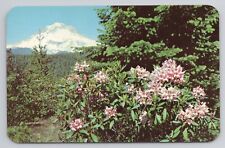 Native Rhododendrons, Oregon Postcard 3516 picture