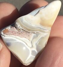 11g Crazy Lace Agate Polished Freeform Druzy Palm Stone Natural picture