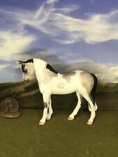 OOAK Breyer cm Custom Stablemate  TB Pinto Sport Horse by D Williams* Beautiful picture