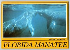 Postcard Florida Kissing Manatee picture
