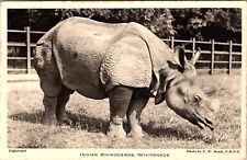 Vintage Animal Postcard, Indian Rhinoceros, Whipsnade Park, Dunstable B2i picture