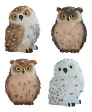 4-PC Cute Owl with Four 2