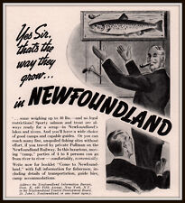 1938 AD  NEWFOUNDLAND TRAVEL TOURIST COME TO NEWFOUNDLAND picture