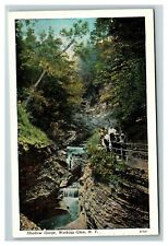Shadow Gorge, Watkins Glen NY Vintage Postcard picture