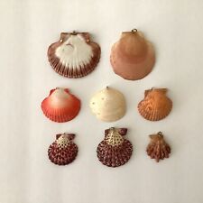 Seashell Lot of 8 Pendants Vintage Seashells From Around The World picture