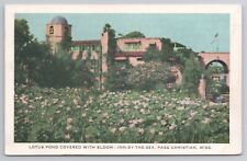 1915-30 Postcard Lotus Pond Covered With Bloom Inn By The Sea Pass Christian MS picture