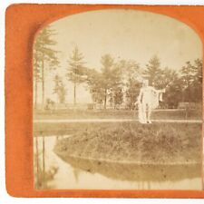 Unknown Mystery Park Statue Stereoview c1870 Trees Pond Antique Photo Card A2653 picture