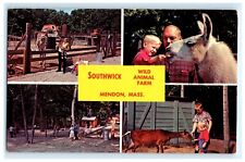 Southwick Wild Animal Farm Zoo Mendon MA Massachusetts Postcard (DY2) picture