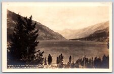 Postcard Moore's Pt from RR Creek Lake Chelan 208 Lindsley RPPC C61 picture