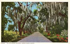 Postcard LA An Alluring Highway Scene Down South Spanish Moss Vintage PC G6319 picture
