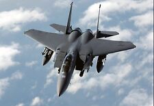 F-15-E Strike Eagle F15E F15 Airplane Desktop Wood Model Big New picture