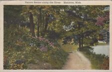 Nature Scene Along The River Manistee Michigan White Border Vintage Post Card picture
