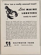 1950 Print Ad Live Maine Lobster Saltwater Farm Damariscotta,Maine picture
