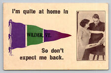 Wilder Vermont I'm Quite at Home, So Don't Expect Me Back Pennant Postcard picture