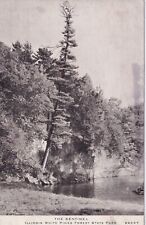 The Sentinel Illinois White Pines Forest State Park IL Postcard C38 picture