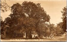 Old Elm Tree McLean, New York Real Photo RPPC Postcard With Old Car picture