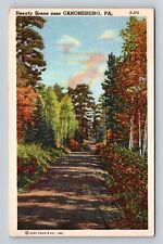 Canonsburg PA- Pennsylvania, Beauty Scene Road, Antique, Vintage c1948 Postcard picture