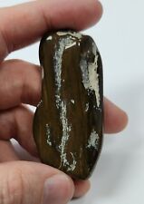 Beautiful Polished Petrified Wood Specimen - 36g picture